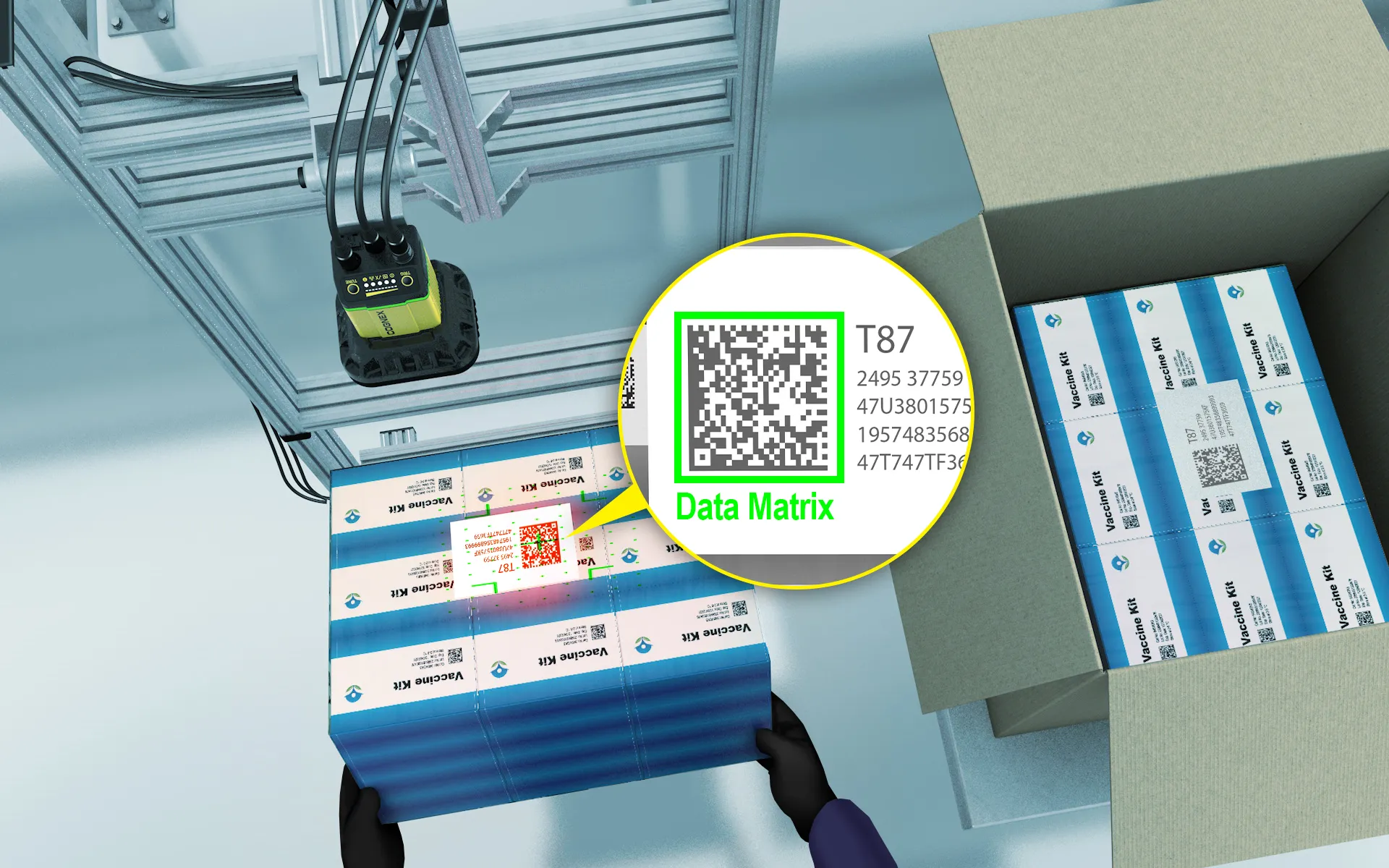 Distribuição em cadeia de frio