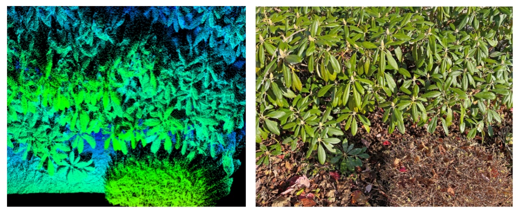 Image 6: 3D reconstruction images of the external environment. Image extracted from: https://thinklucid.com/product/helios2-ray-outd oor-tof-ip67-3d-camera/