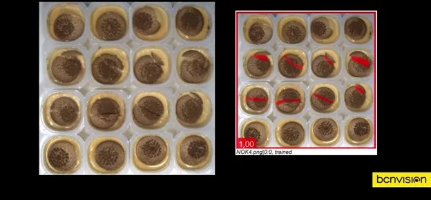 Figura 10: Detección anomalías natillas. Fuente: Bcnvision