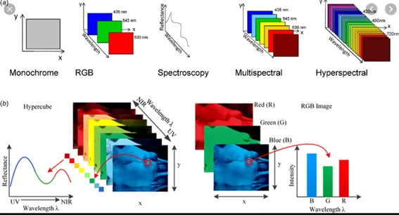 Figura 8: Diferentes espectros