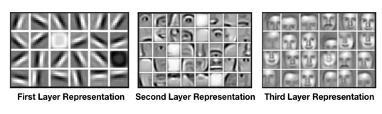 Figura 9. Representación de mapas de características mediante el uso de redes neuronales convolucionales. Fuente: SA. (2022)